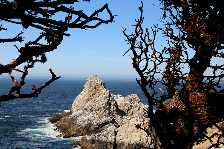 Point Lobos ocean