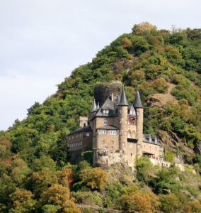 Castle on The Rhine